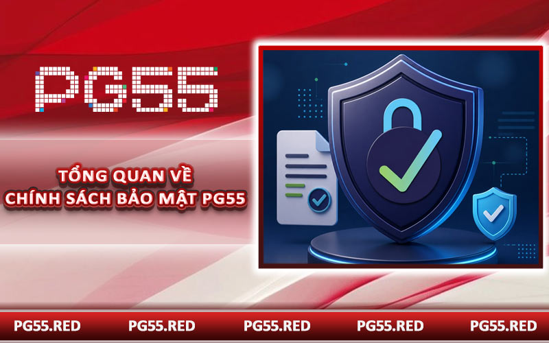 Tổng quan về chính sách bảo mật PG55