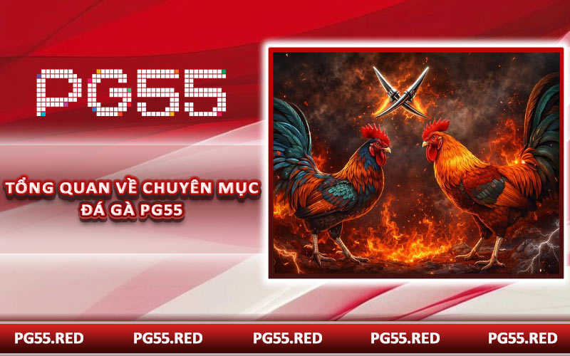 Tổng quan về chuyên mục đá gà PG55